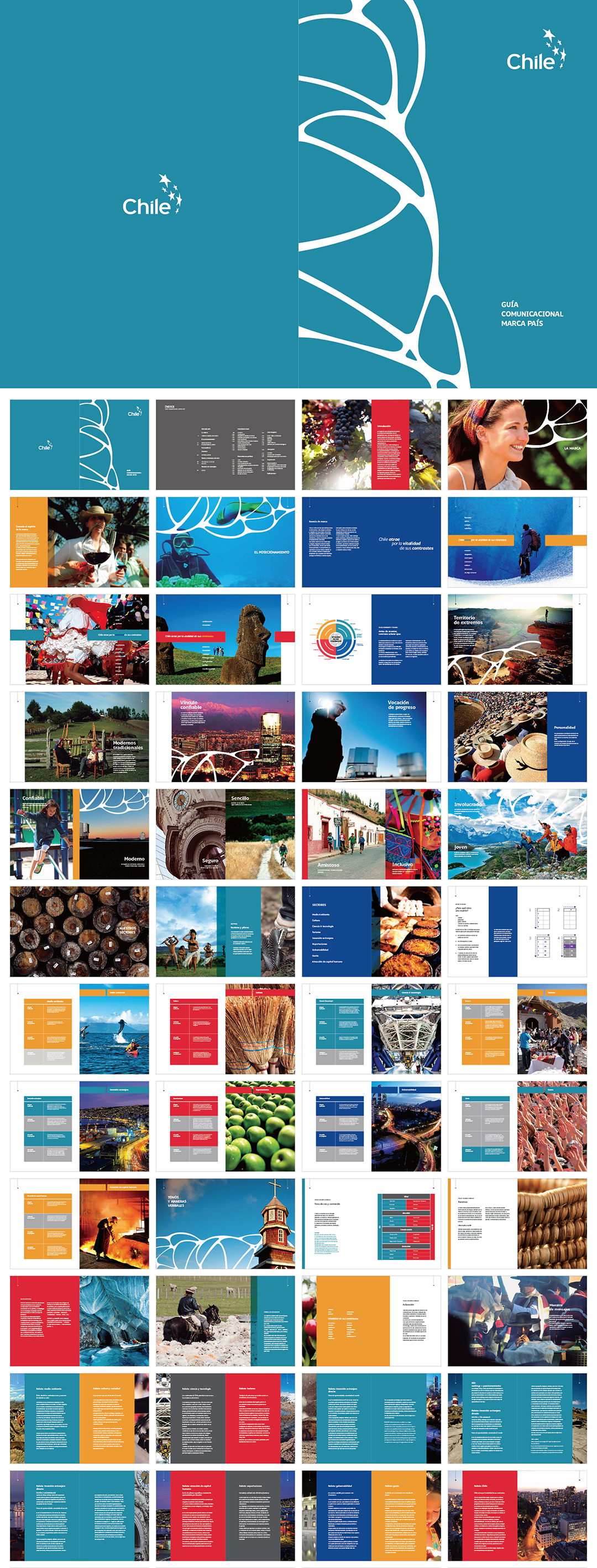 智利chile品牌VI手册