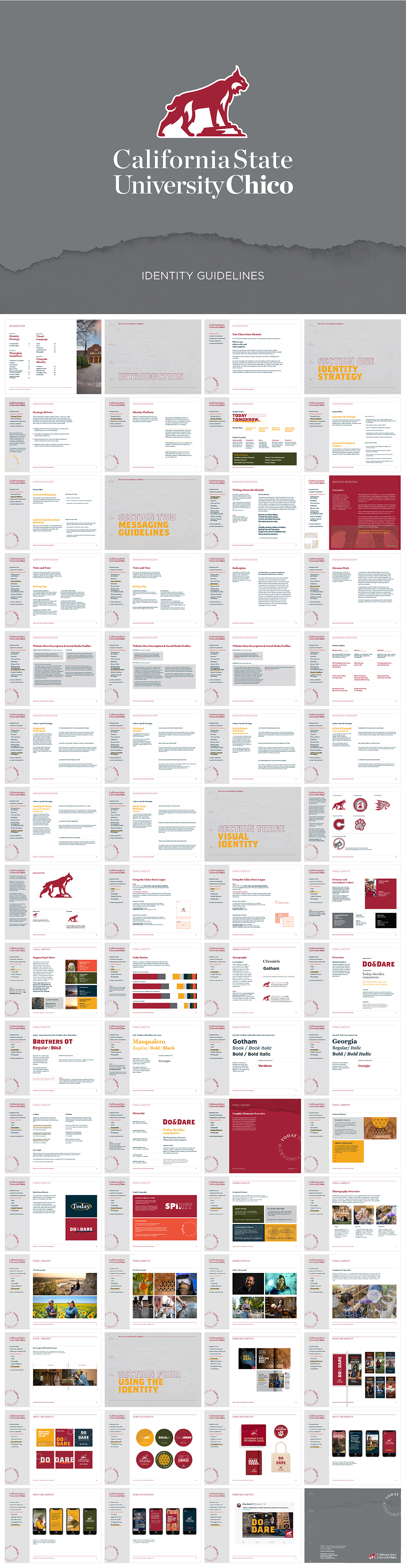 California State University Chico 加州州立大学奇科分校VI手册