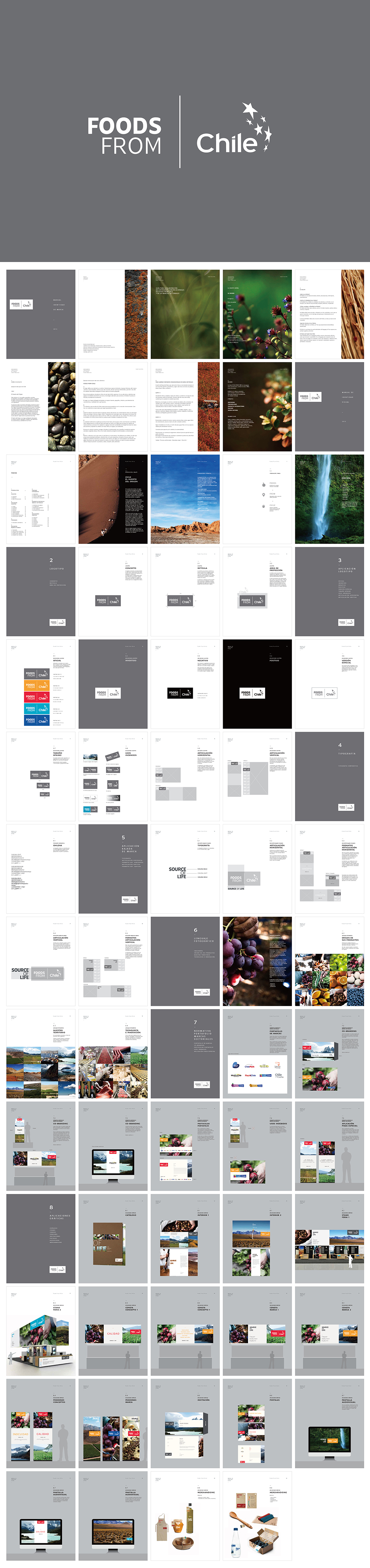 Foods From Chile智利食品品牌手册