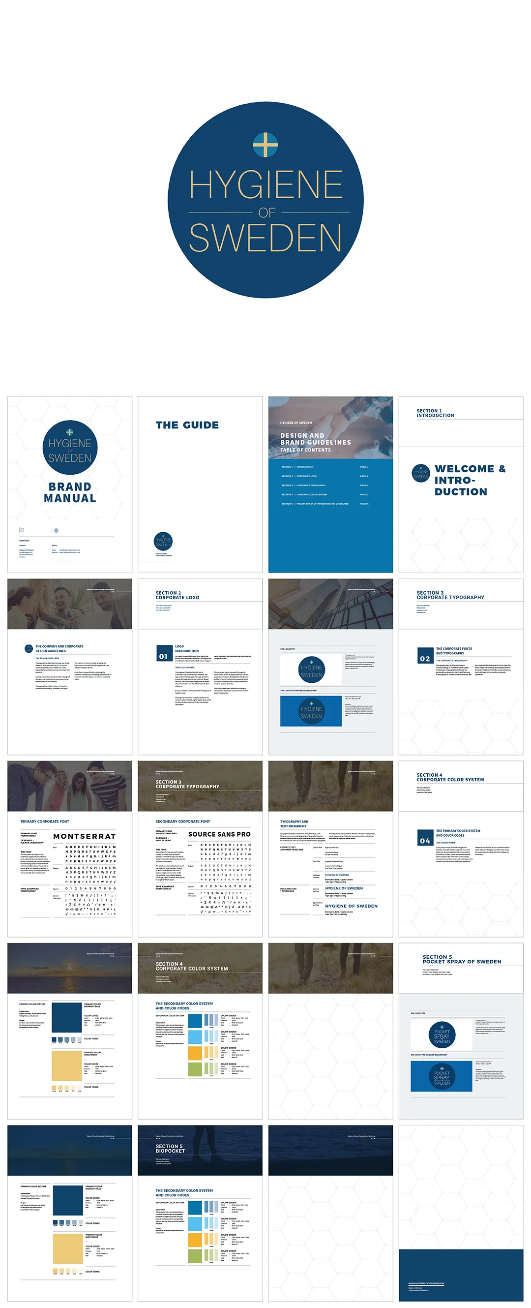 瑞典Hygiene of Sweden医疗保健品研发公司VI手册