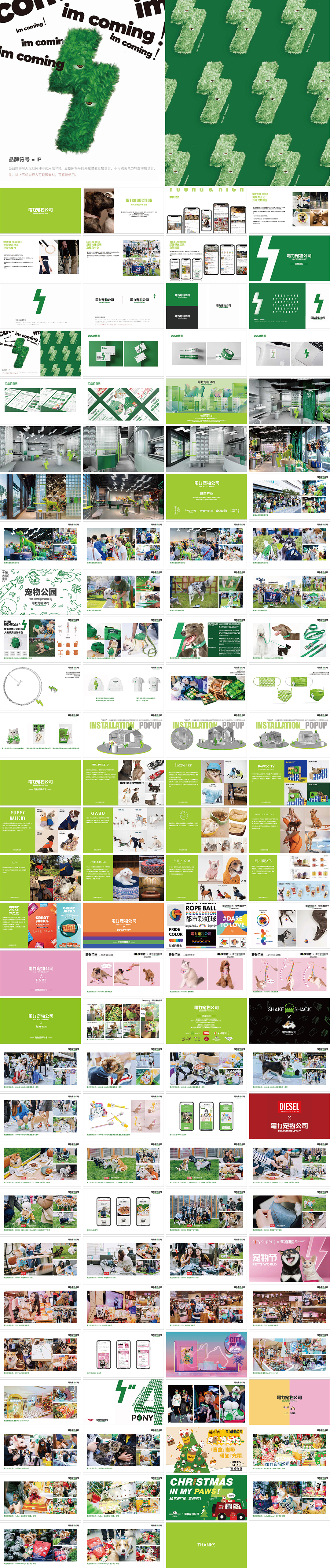 D&L PETS COMPANY電力宠物公司品牌手册