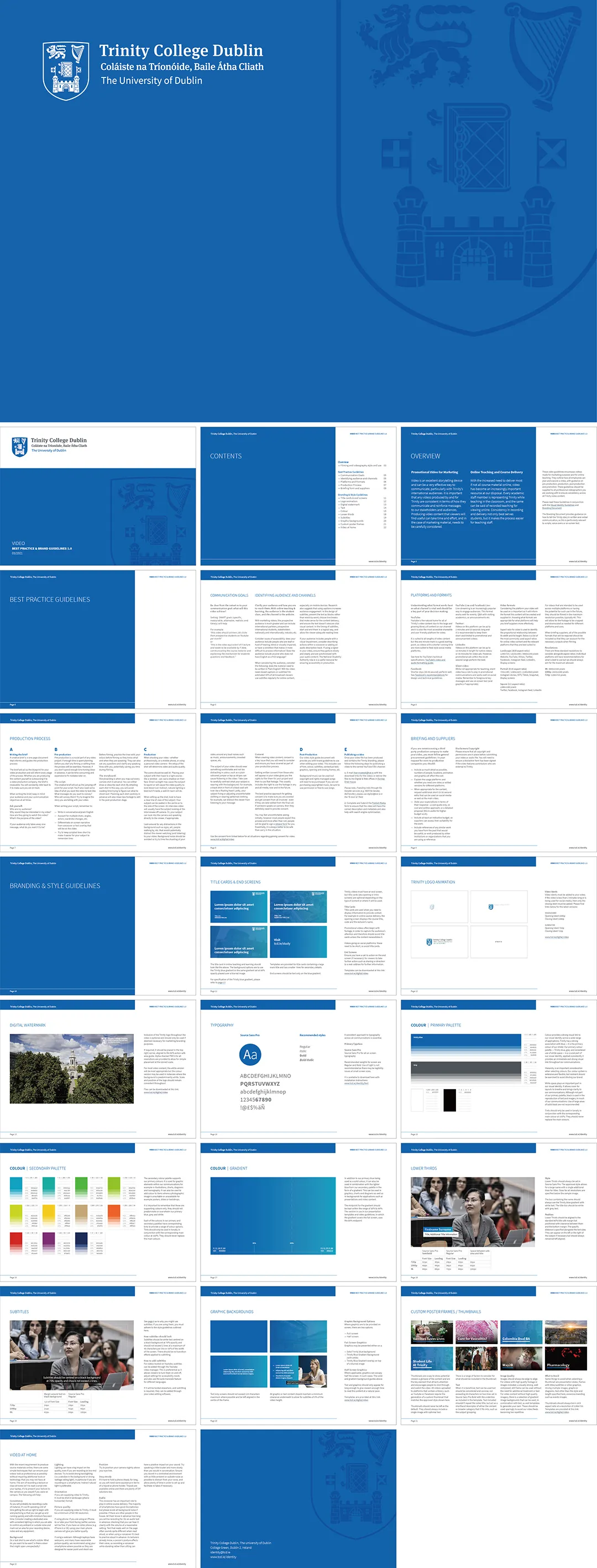 爱尔兰Trinity College Dublin都柏林圣三一学院Logo规范