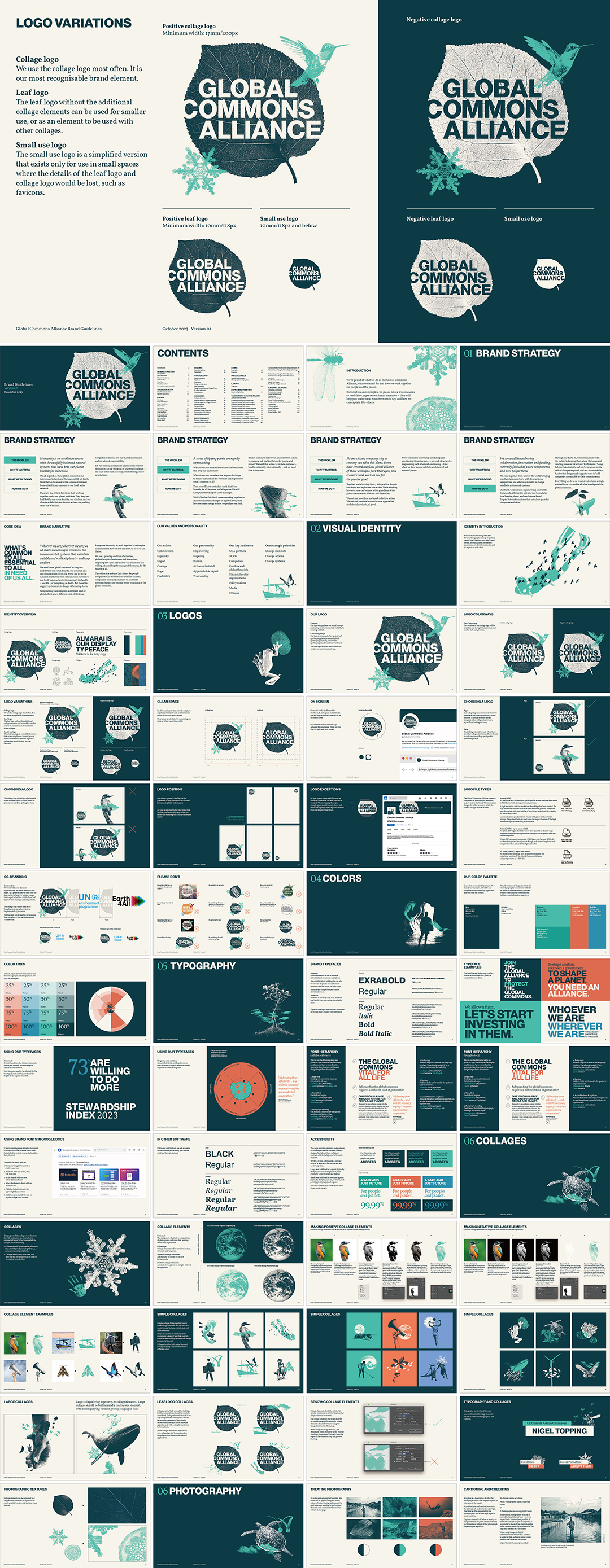 美国GCA（Global Commons Alliance)全球公共资源联盟VI手册