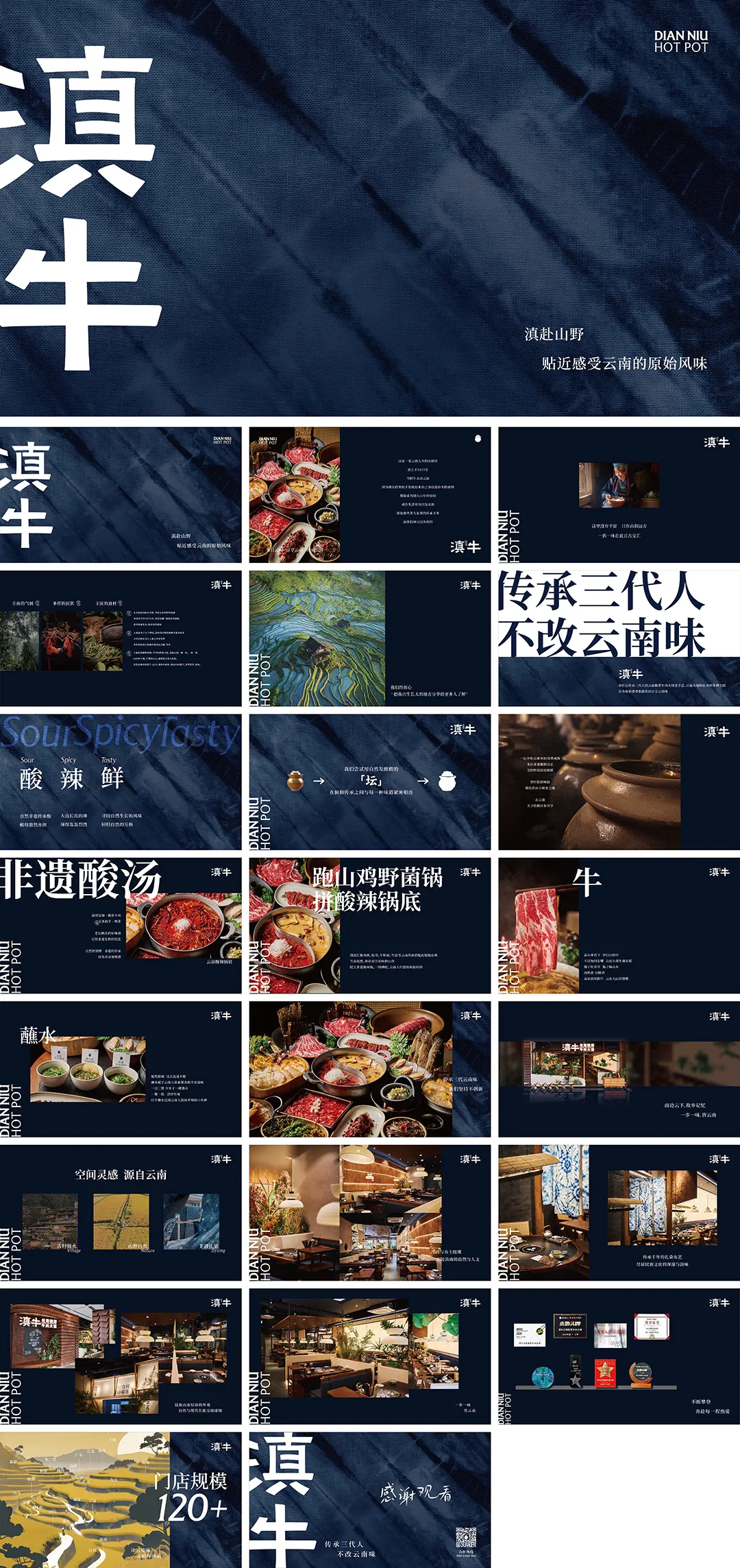 滇牛云南酸菜牛肉火锅品牌手册