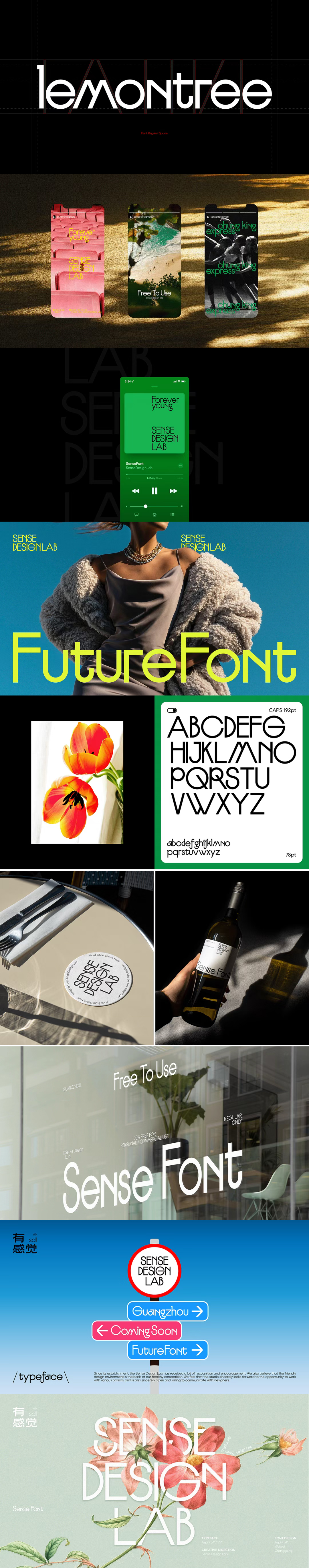 国内有感觉设计出品的Sense现代简约字体