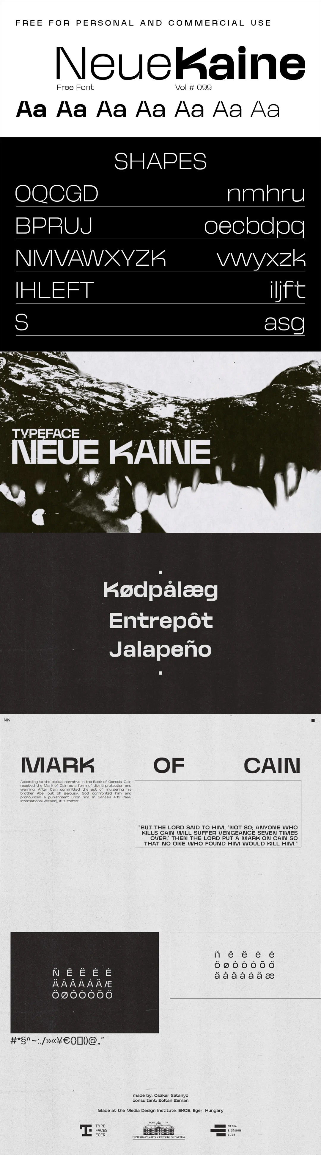 匈牙利Neue Kaine现代简洁、年轻有活力的无衬线字体