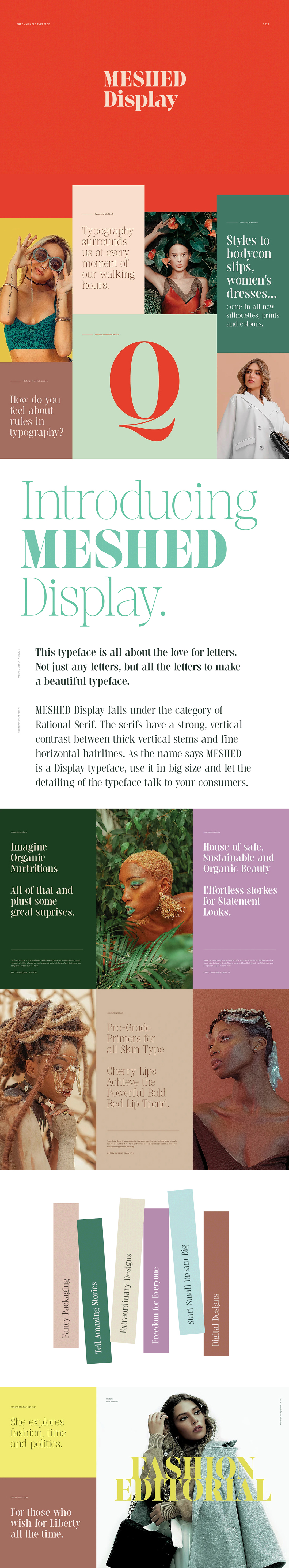 Meshed Display现代优雅衬线字体