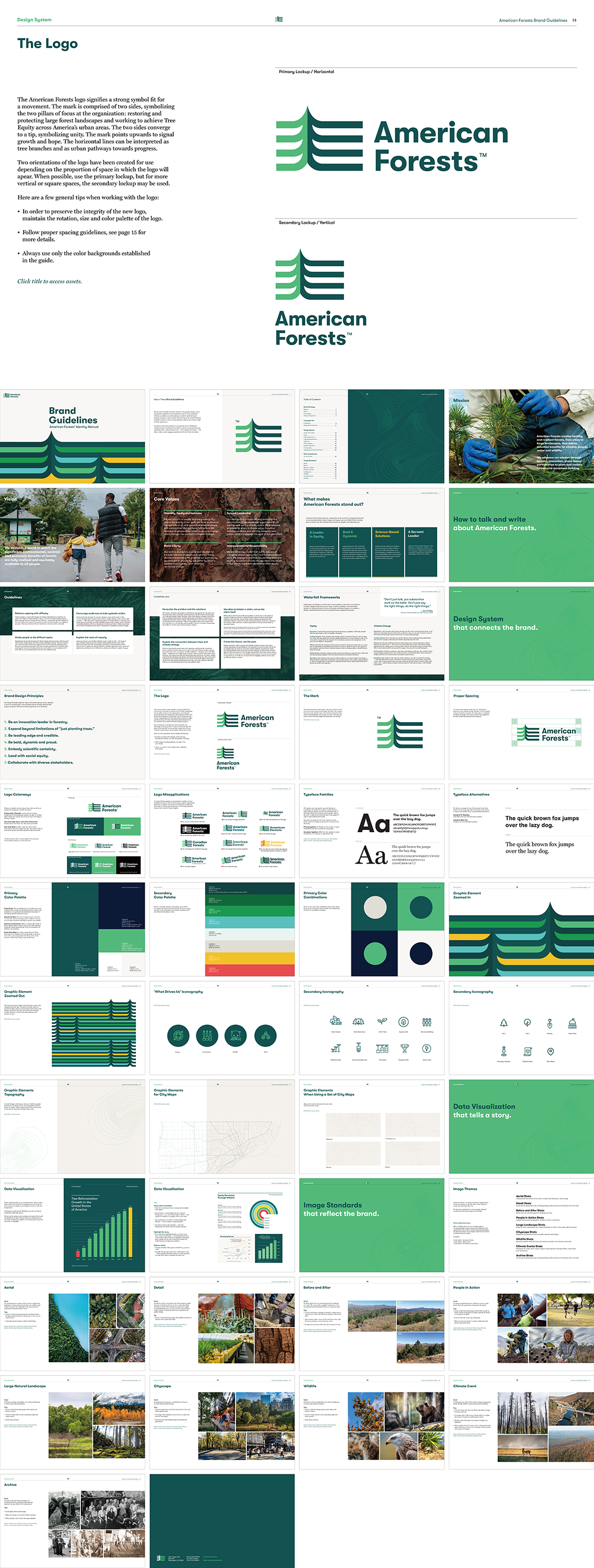 美国AMERICAN FORESTS森林保护公益组织VI手册