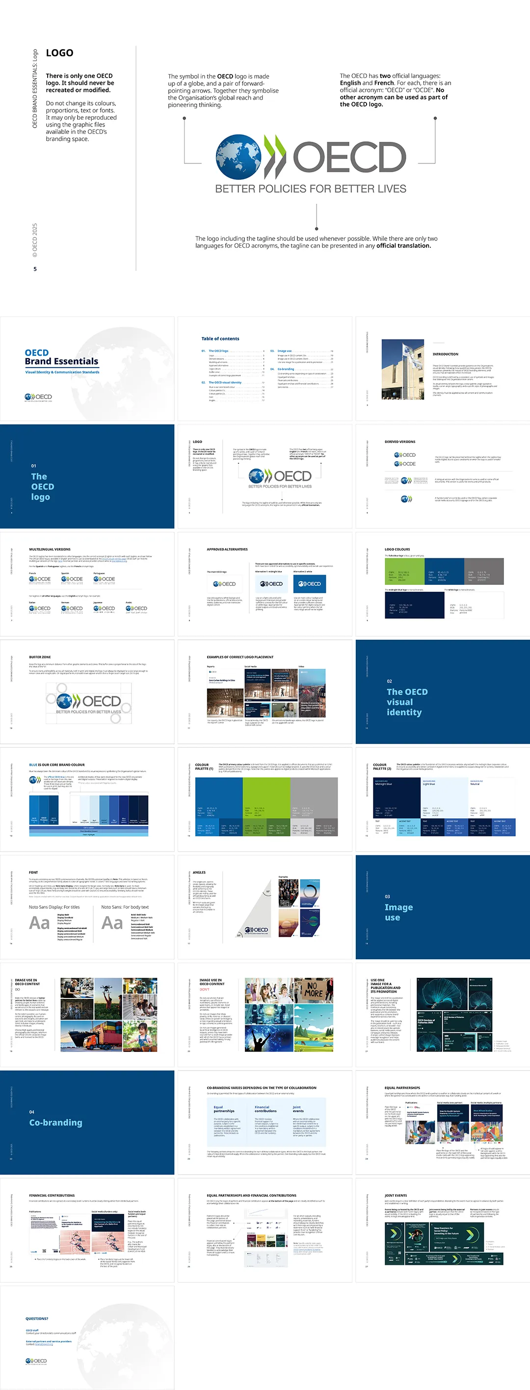 国际OECD经济合作与发展组织VI手册